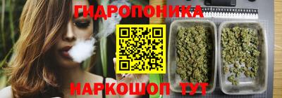 spice Пенза