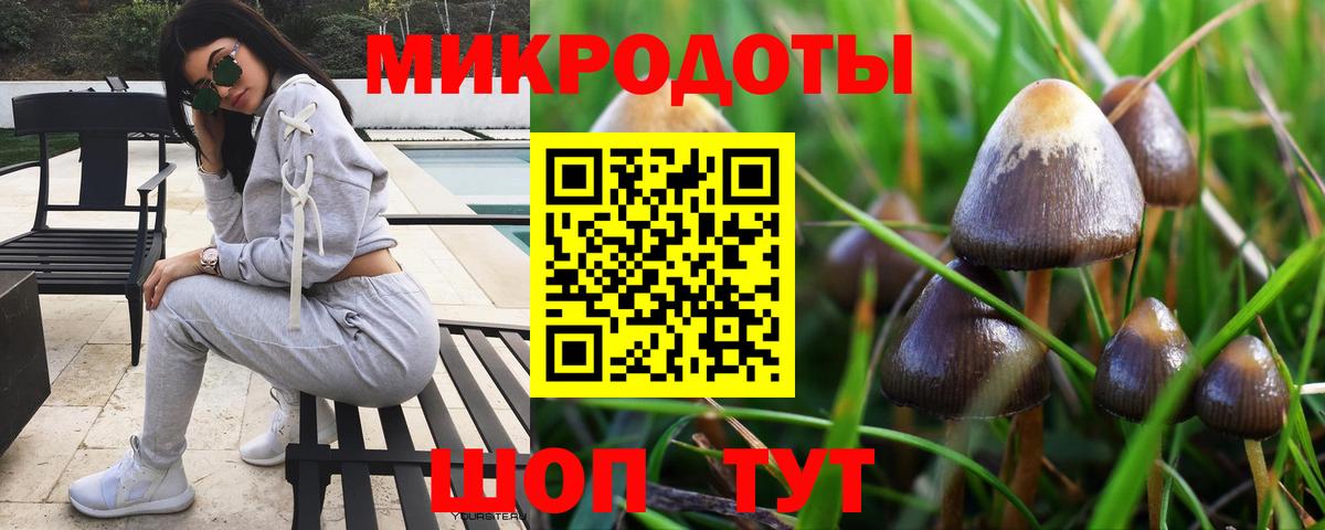 Псилоцибиновые грибы Psilocybine cubensis Родники