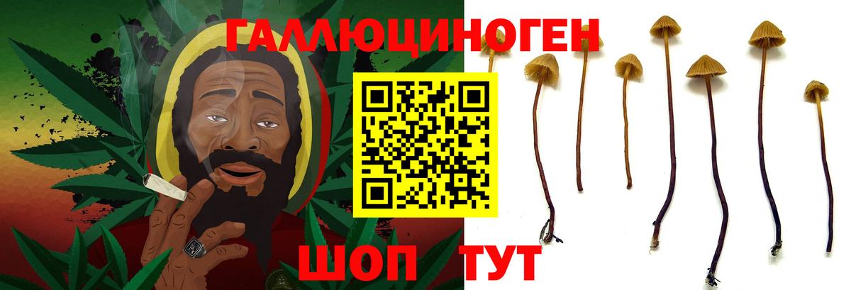 Родники  дарнет шоп  Галлюциногенные грибы мухоморы  Вход с VPN  Галлюциногенные грибы Cubensis 