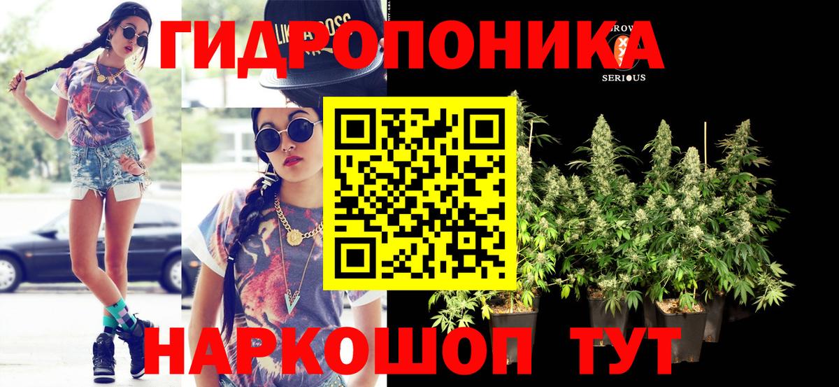 Бошки Шишки сатива  Вход с VPN  Родники  Марихуана семена  Каннабис White Widow 